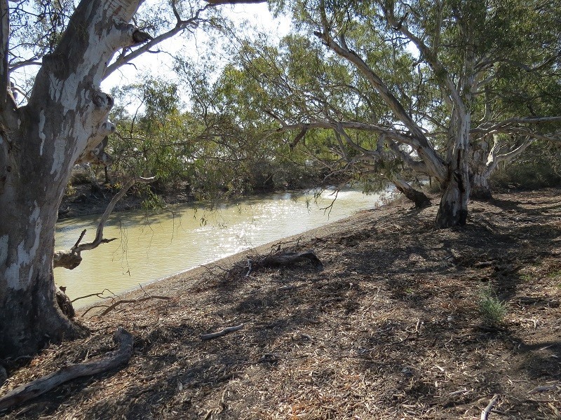 Lot 3 Benjeroop Lake Charm Road, Benjeroop VIC 3579