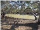 Lot 3 Benjeroop Lake Charm Road, Benjeroop VIC 3579