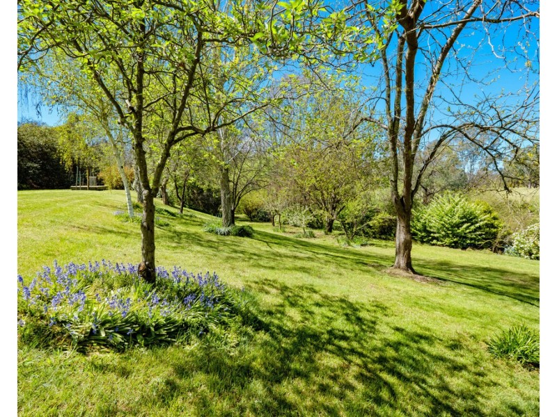 3137 River Road, Jingellic NSW 2642