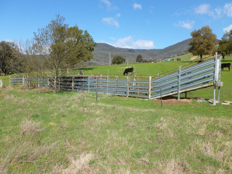 520 Wises Creek Road, Talgarno VIC 3691