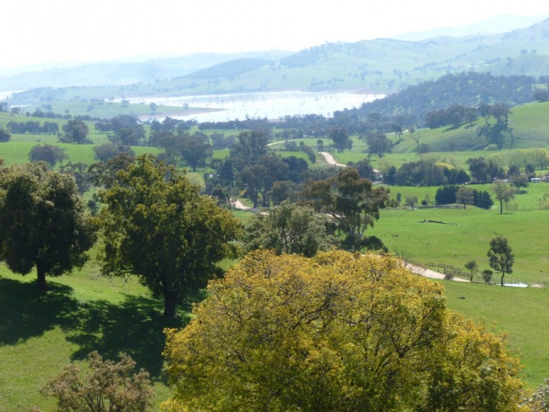 520 Wises Creek Road, Talgarno VIC 3691