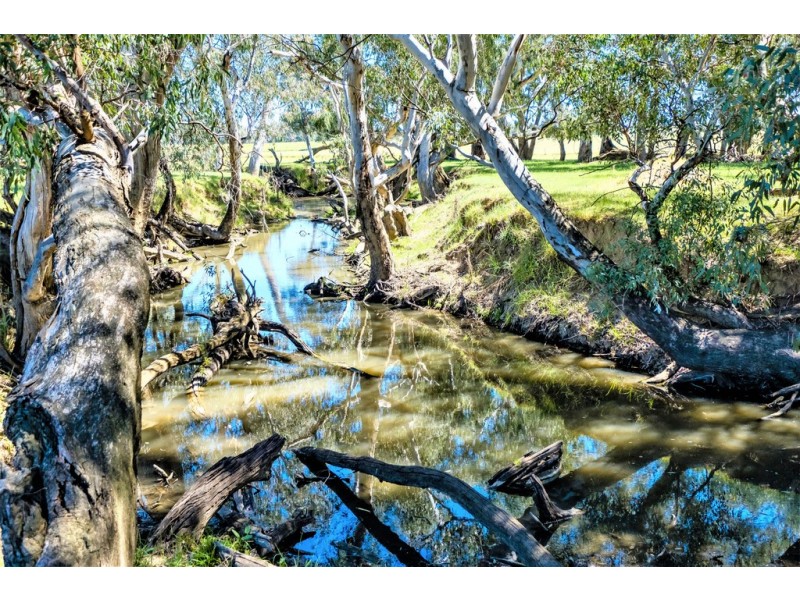 Forest Vale, Hume Highway, Holbrook NSW 2644