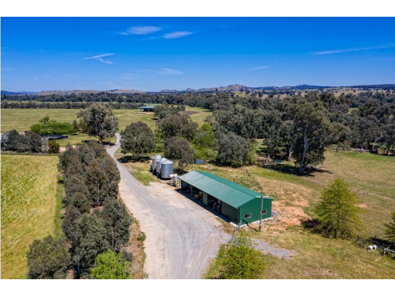 Forest Vale, Hume Highway, Holbrook NSW 2644