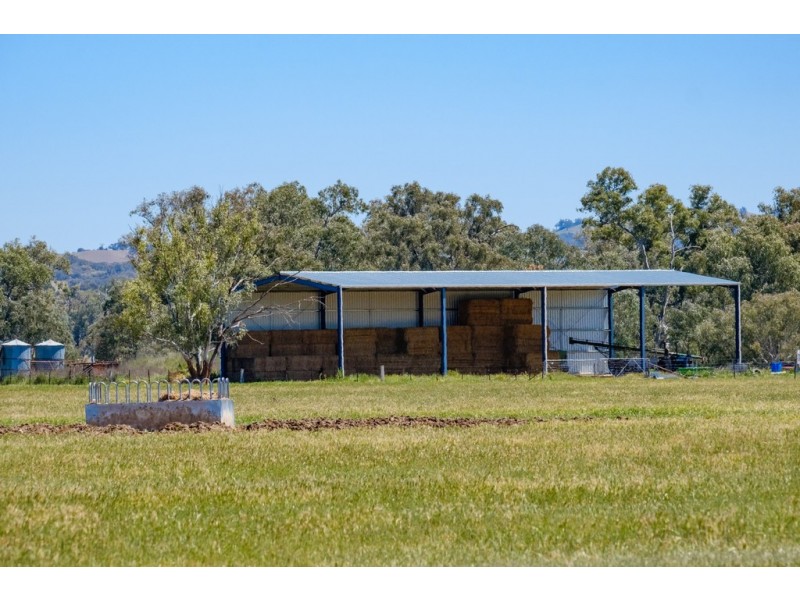 Forest Vale, Hume Highway, Holbrook NSW 2644