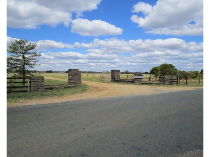 201 Four Post Road, Deniliquin NSW 2710