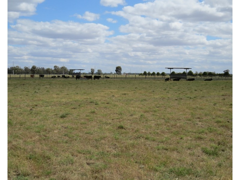 201 Four Post Road, Deniliquin NSW 2710