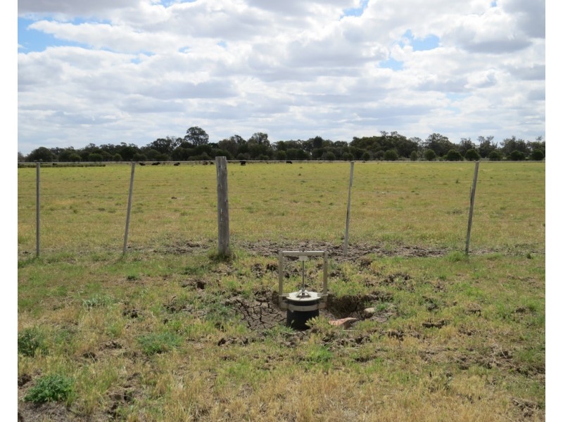 201 Four Post Road, Deniliquin NSW 2710