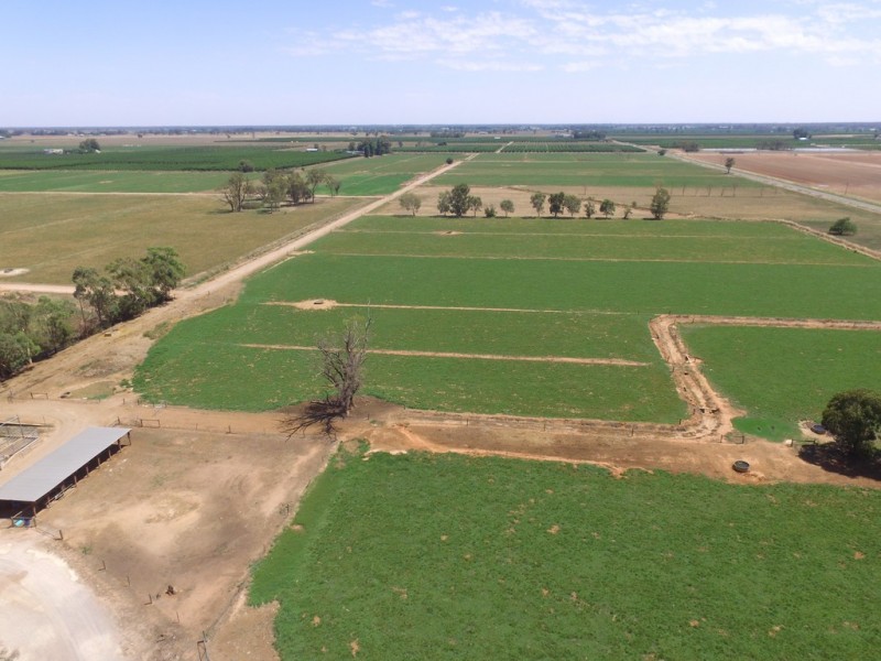 680 CAMPBELL ROAD, Cobram VIC 3644
