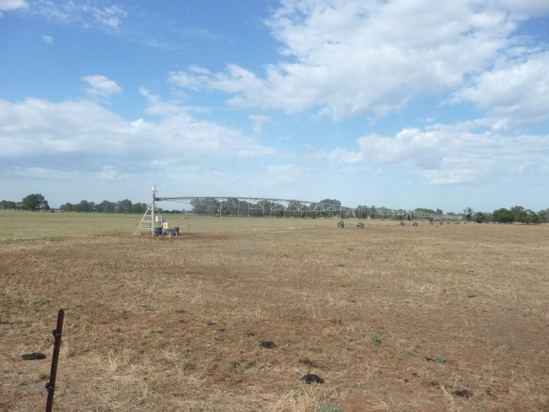 1195 Larissa Road, Cobram VIC 3644