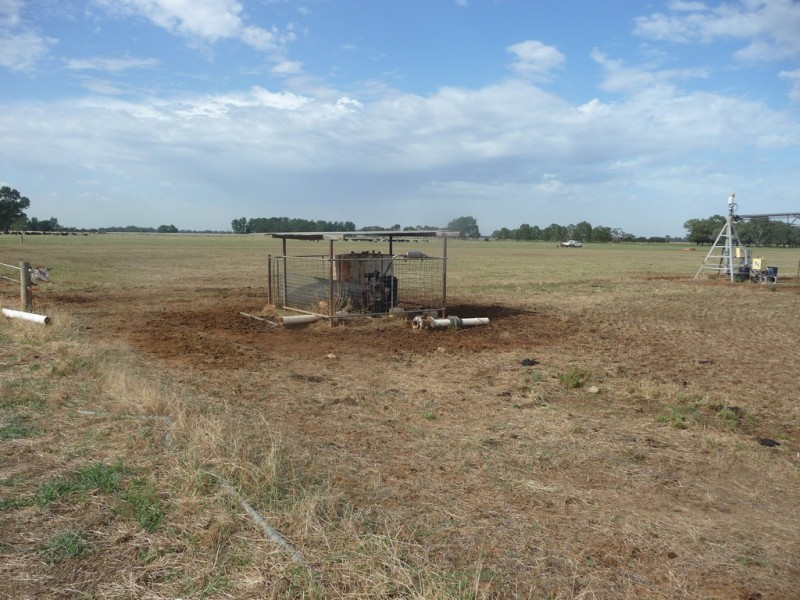 1195 Larissa Road, Cobram VIC 3644