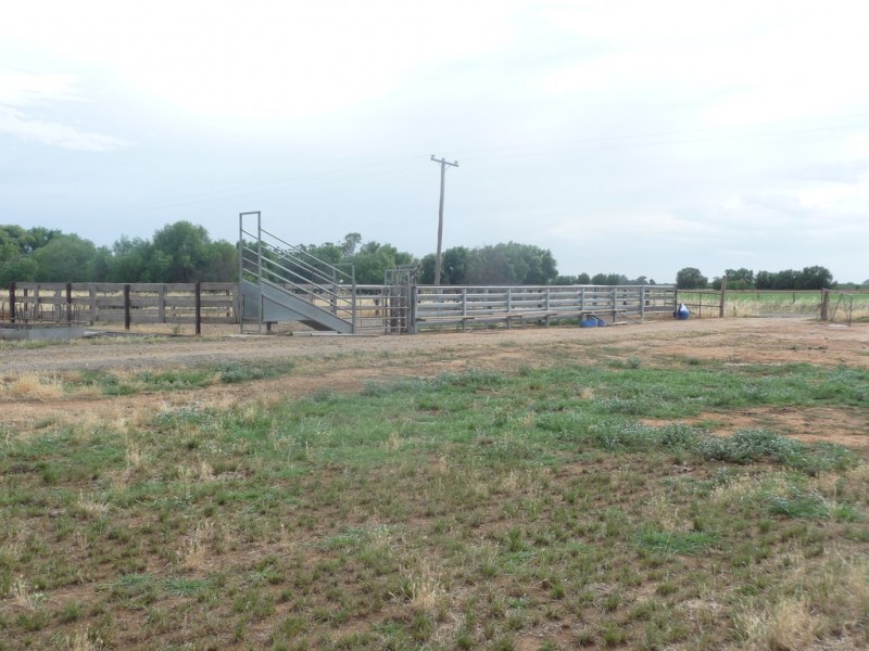 1195 Larissa Road, Cobram VIC 3644