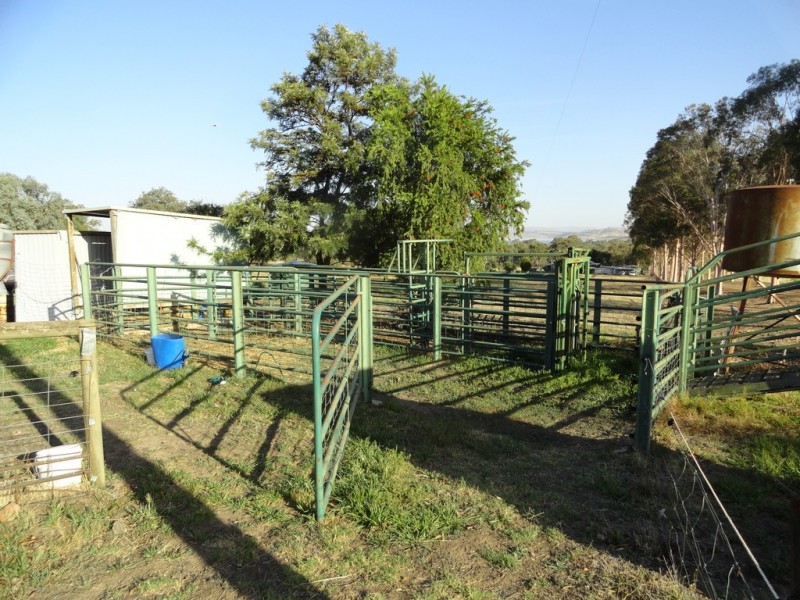 1324 Murray River Road, Talgarno VIC 3691