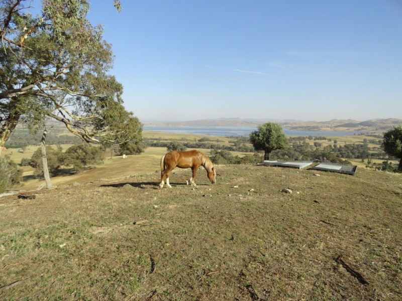 1324 Murray River Road, Talgarno VIC 3691