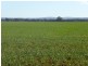 Weethalle NSW 2669