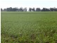 Weethalle NSW 2669