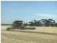 Weethalle NSW 2669