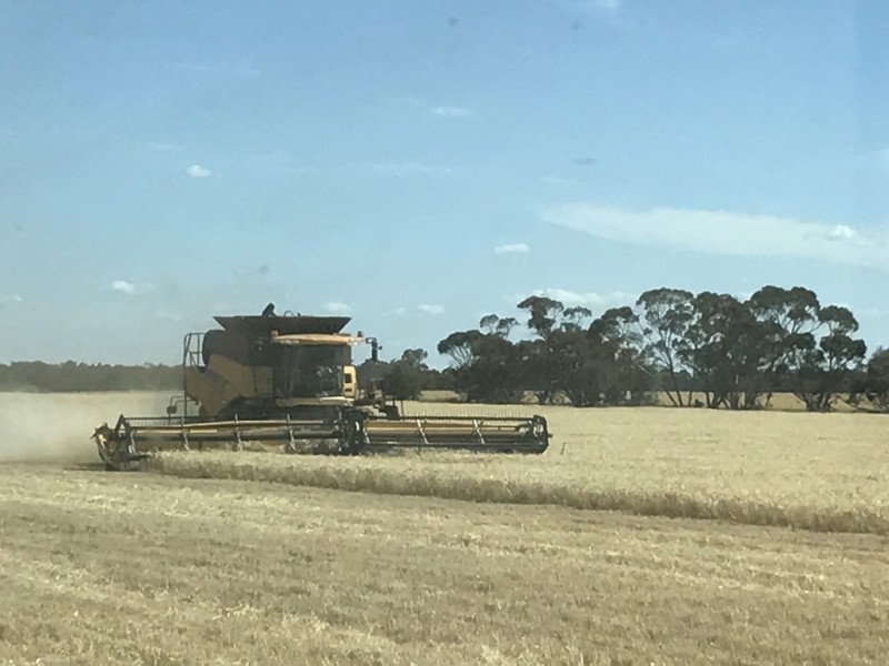 Weethalle NSW 2669