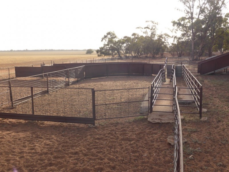 Weethalle NSW 2669