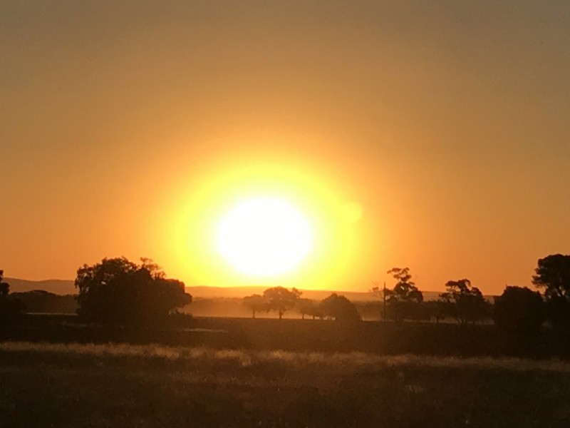 Weethalle NSW 2669