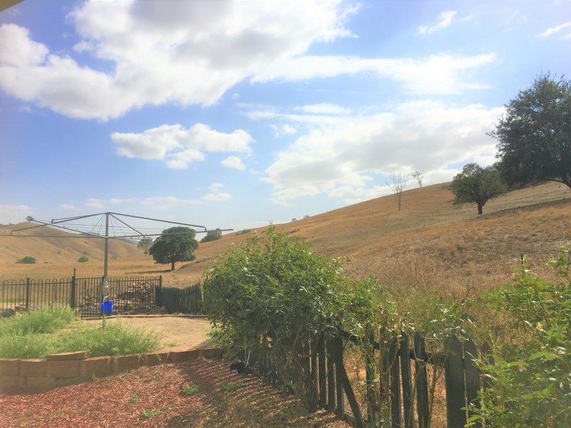 3176 River Road, Jingellic NSW 2642