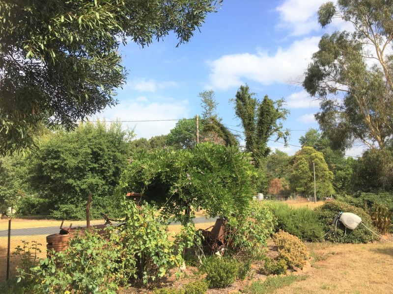 3176 River Road, Jingellic NSW 2642