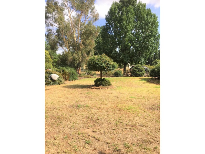 3176 River Road, Jingellic NSW 2642