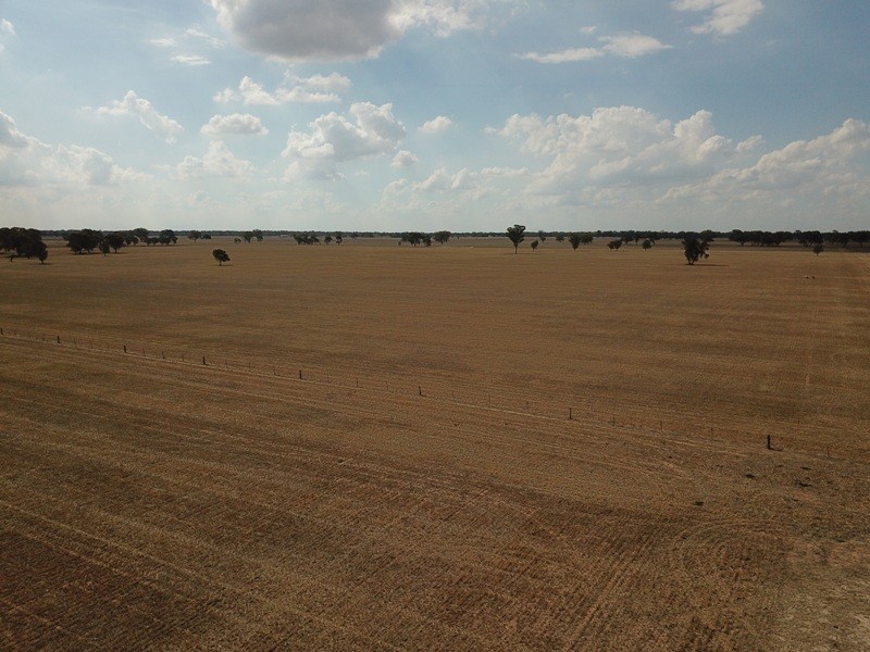 309 and 360 Sharps Road, Wunghnu VIC 3635