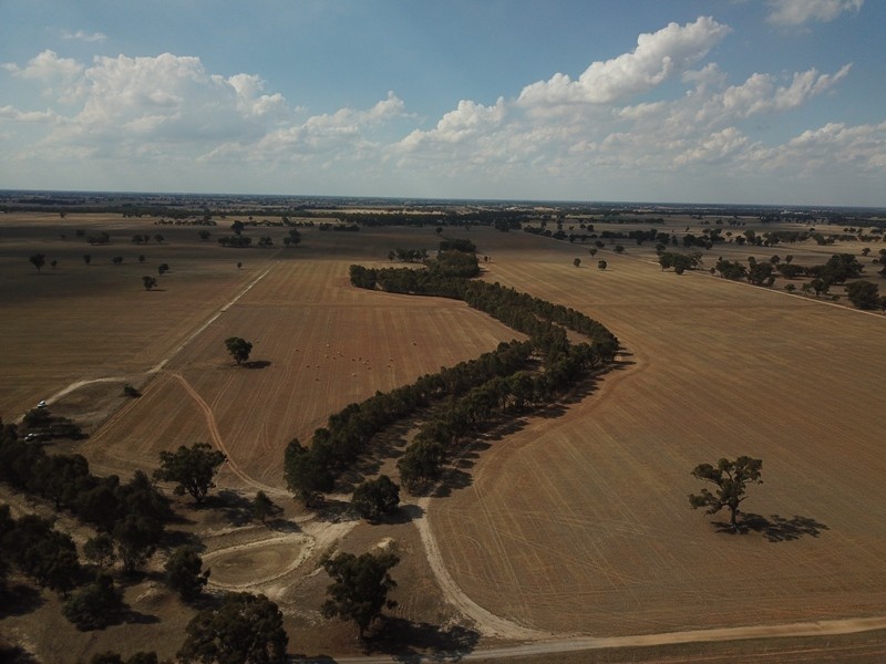 309 and 360 Sharps Road, Wunghnu VIC 3635