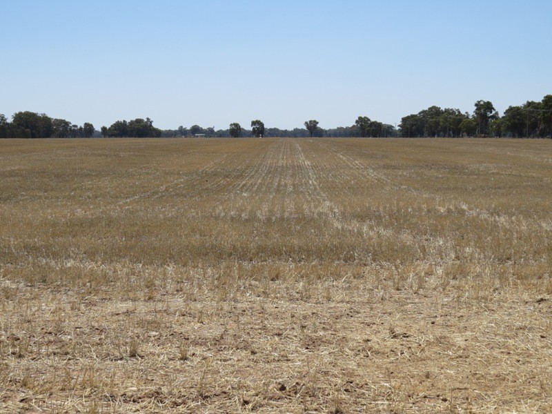 309 and 360 Sharps Road, Wunghnu VIC 3635