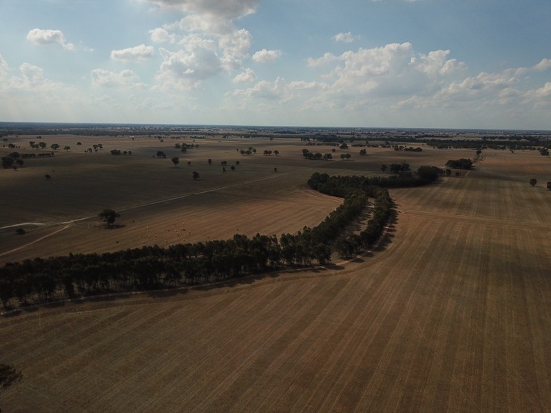 309 and 360 Sharps Road, Wunghnu VIC 3635