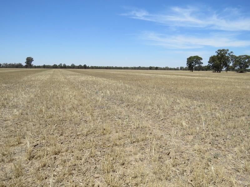 309 and 360 Sharps Road, Wunghnu VIC 3635