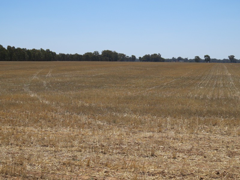 309 and 360 Sharps Road, Wunghnu VIC 3635