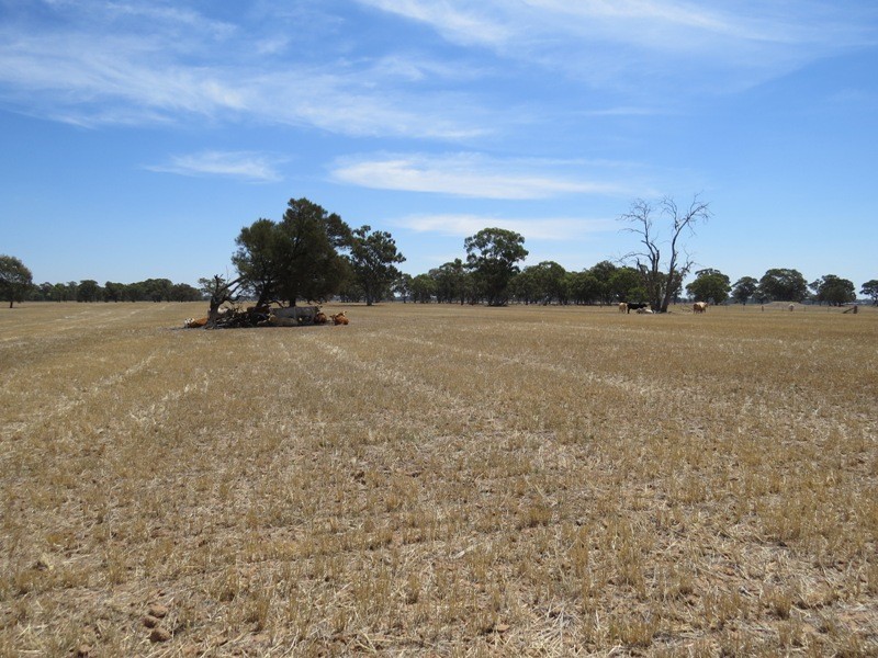 309 and 360 Sharps Road, Wunghnu VIC 3635