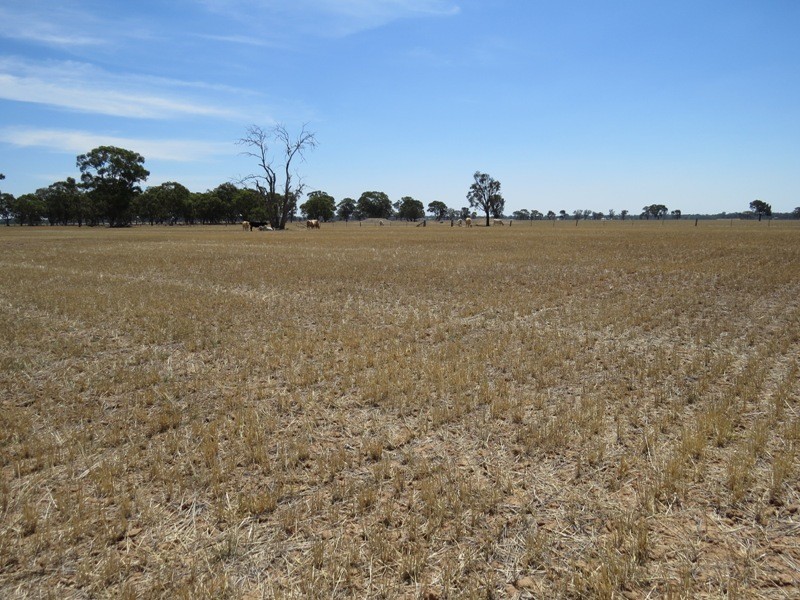 309 and 360 Sharps Road, Wunghnu VIC 3635