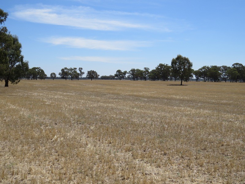 309 and 360 Sharps Road, Wunghnu VIC 3635