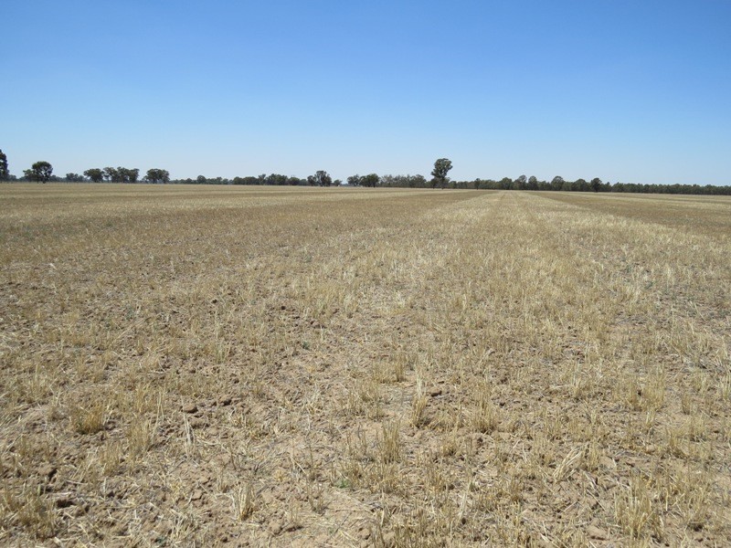 309 and 360 Sharps Road, Wunghnu VIC 3635