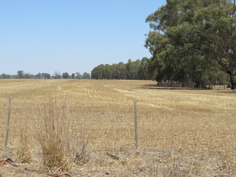 309 and 360 Sharps Road, Wunghnu VIC 3635