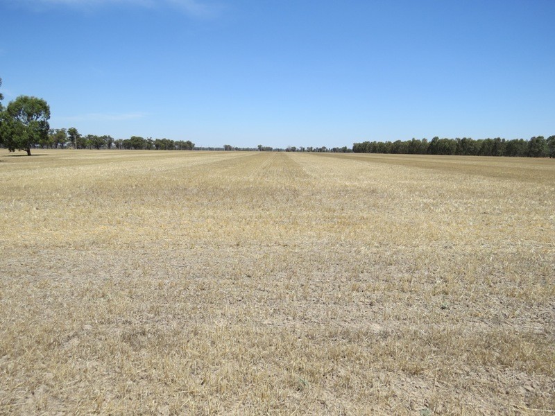 309 and 360 Sharps Road, Wunghnu VIC 3635