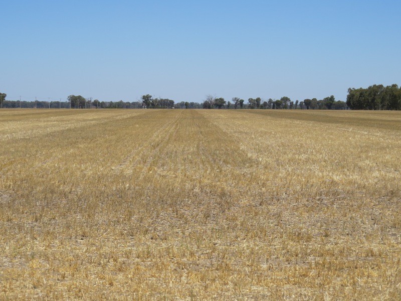 309 and 360 Sharps Road, Wunghnu VIC 3635