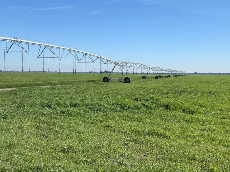 113 Warbreccan Road, Deniliquin NSW 2710