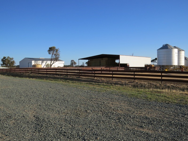 113 Warbreccan Road, Deniliquin NSW 2710