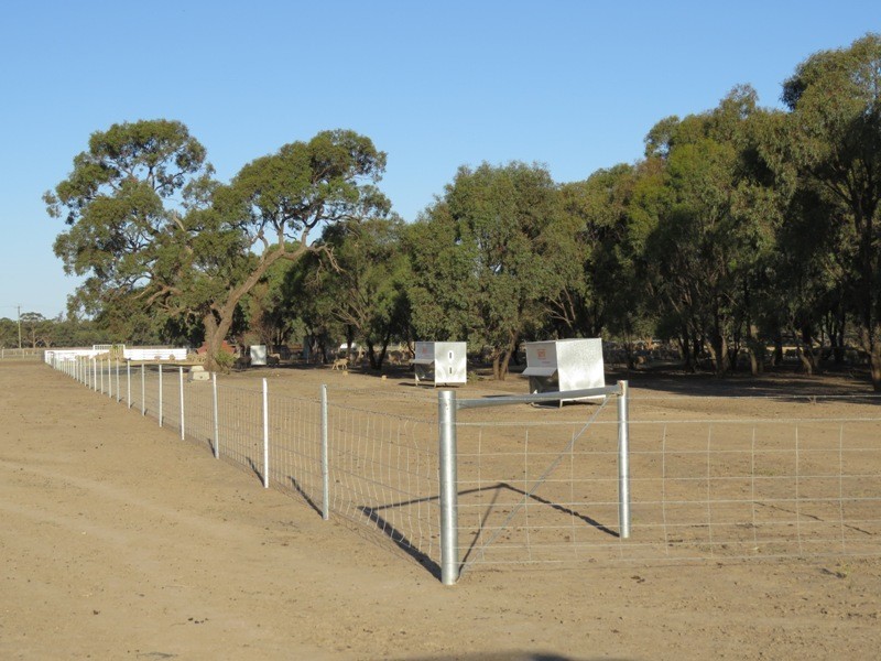 113 Warbreccan Road, Deniliquin NSW 2710