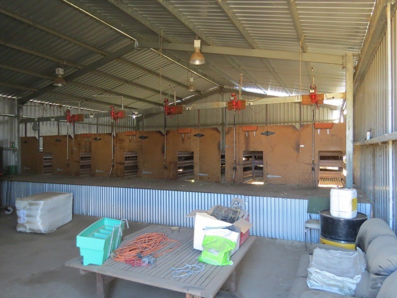 113 Warbreccan Road, Deniliquin NSW 2710