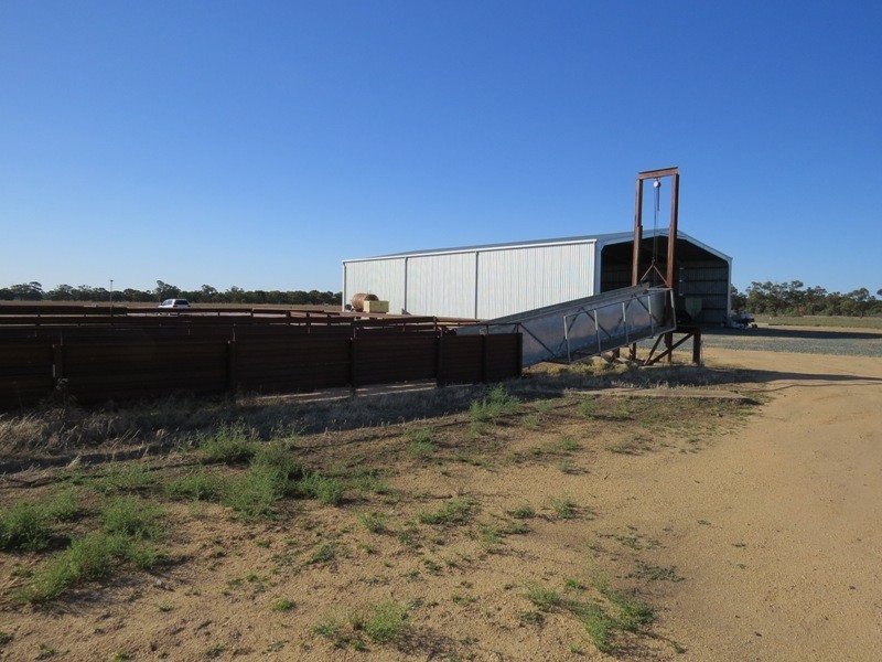 113 Warbreccan Road, Deniliquin NSW 2710