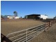 113 Warbreccan Road, Deniliquin NSW 2710