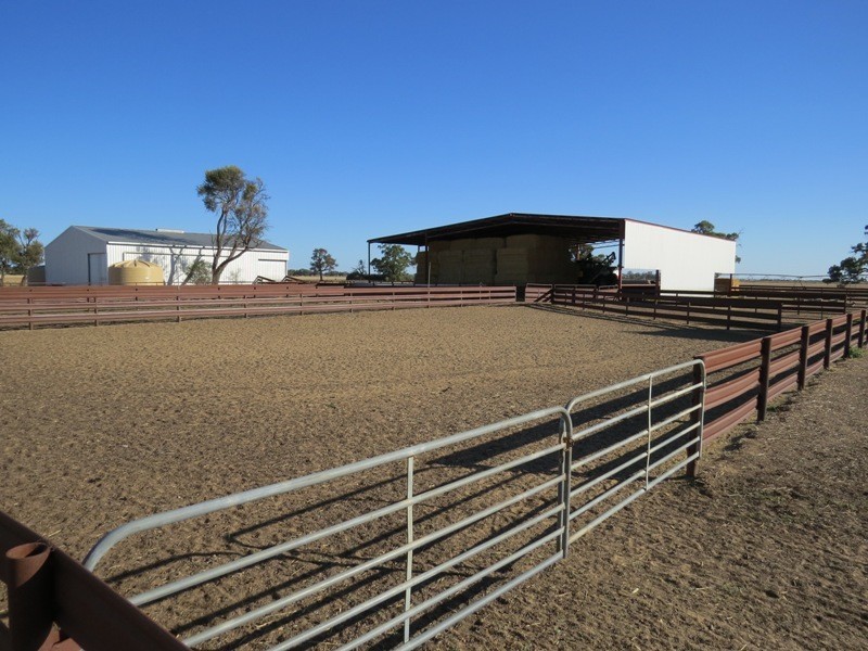 113 Warbreccan Road, Deniliquin NSW 2710