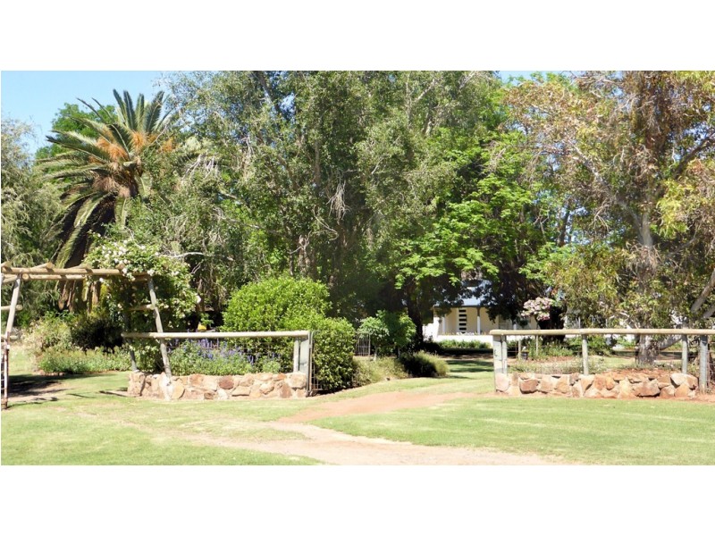 291 CURLEW ROAD, Lake Cargelligo NSW 2672