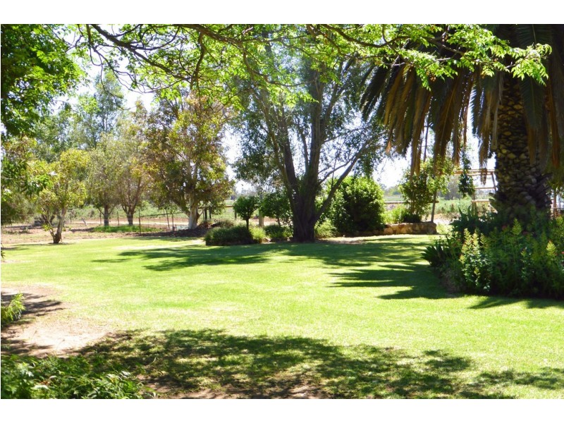 291 CURLEW ROAD, Lake Cargelligo NSW 2672