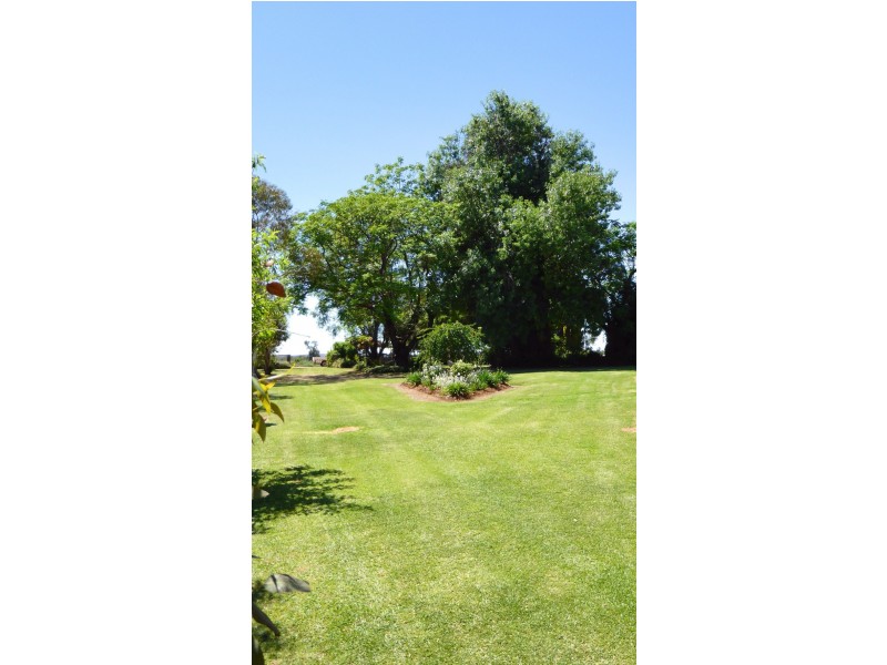 291 CURLEW ROAD, Lake Cargelligo NSW 2672