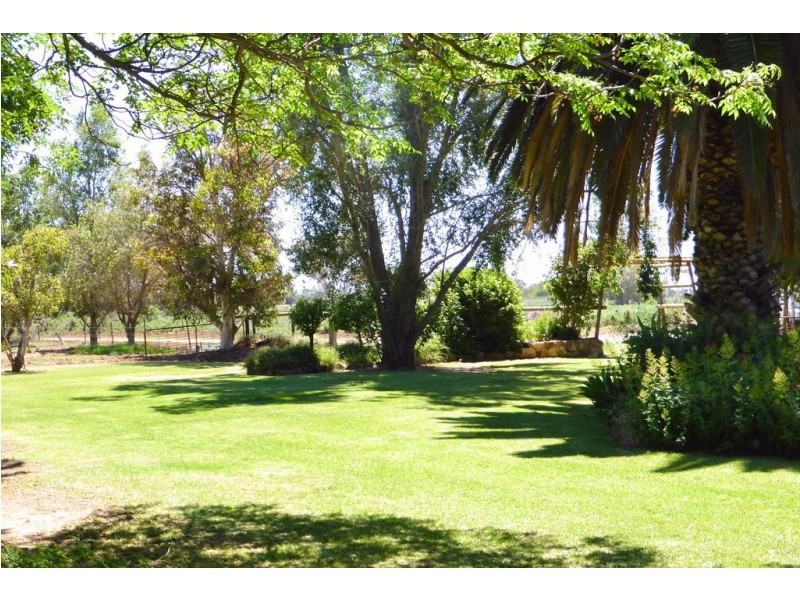 291 CURLEW ROAD, Lake Cargelligo NSW 2672